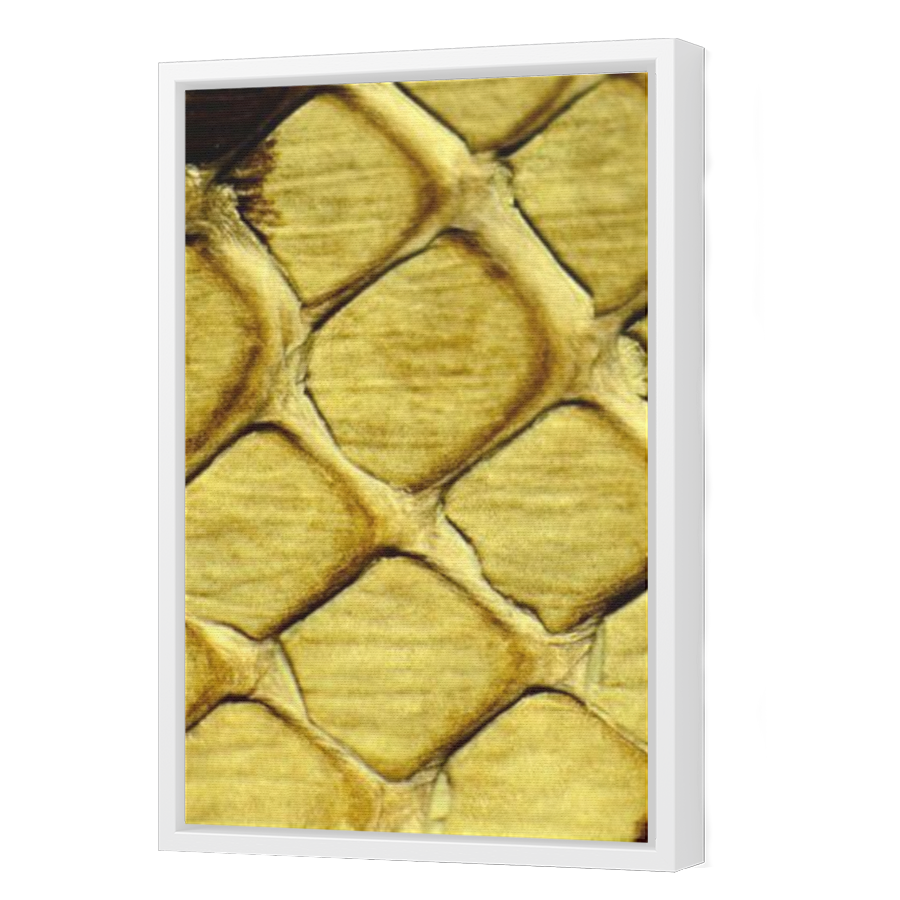 Thumbnail for Canvas - White Floating Frame