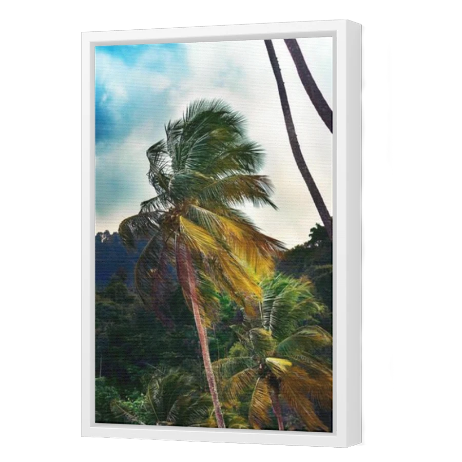 Thumbnail for Canvas - White Floating Frame