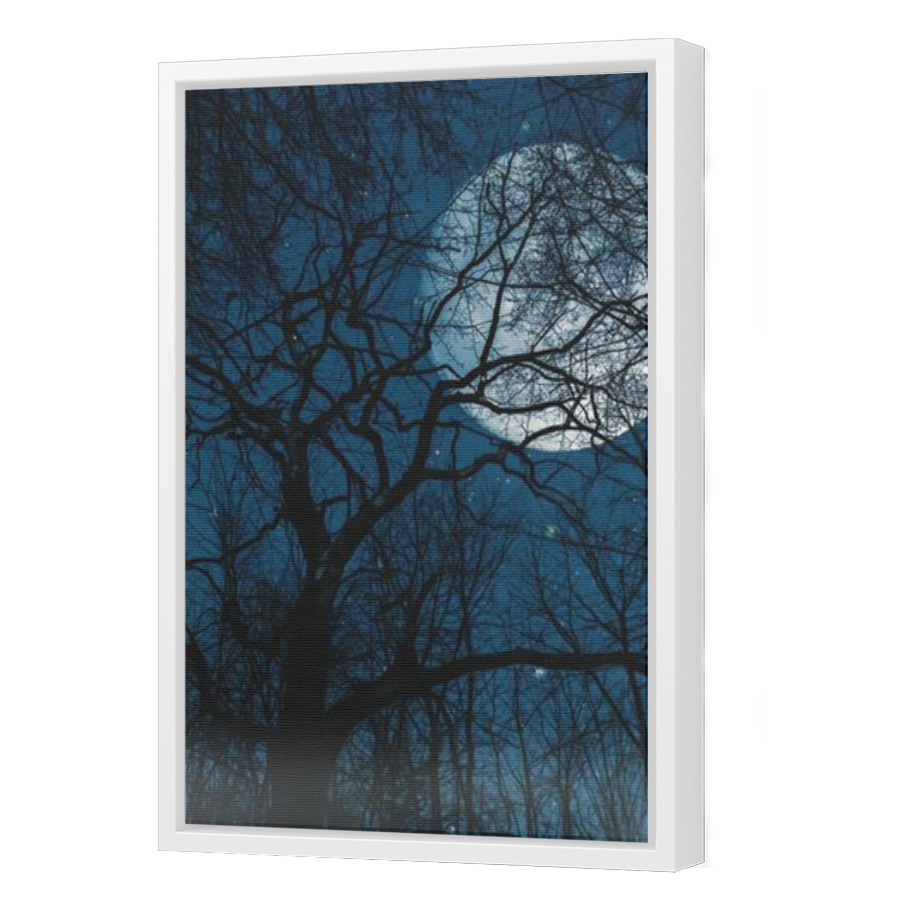 Thumbnail for Canvas - White Floating Frame