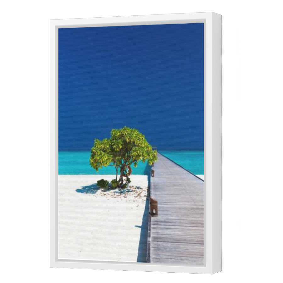Thumbnail for Canvas - White Floating Frame