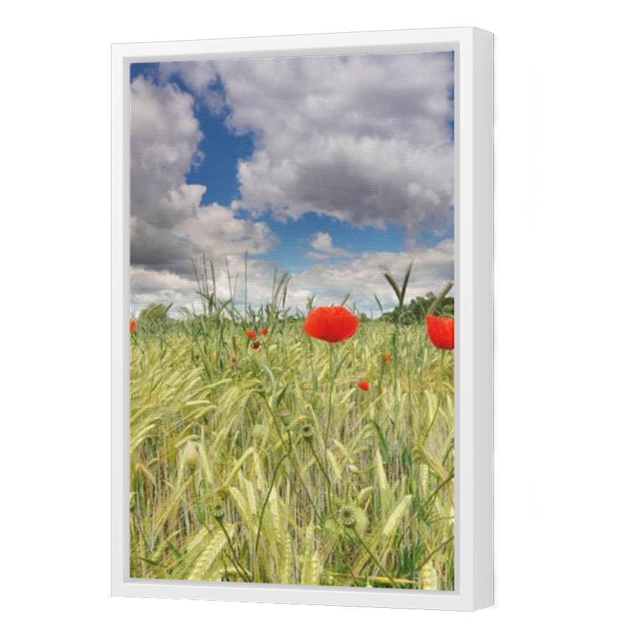 Thumbnail for Canvas - White Floating Frame