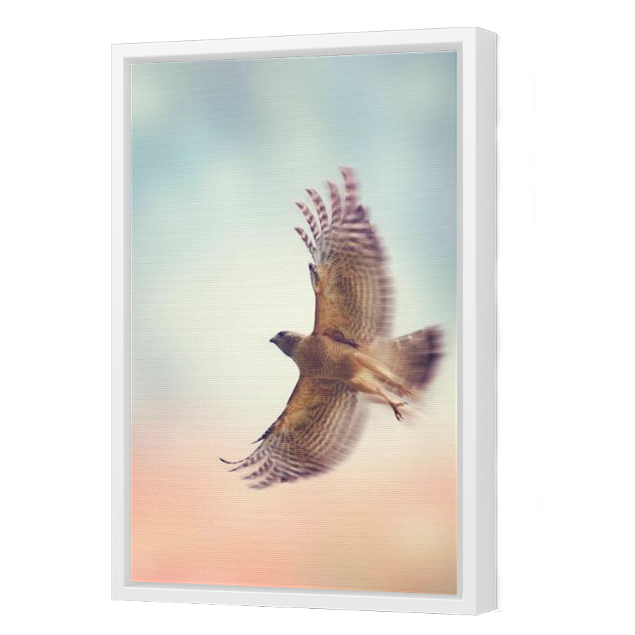 Thumbnail for Canvas - White Floating Frame