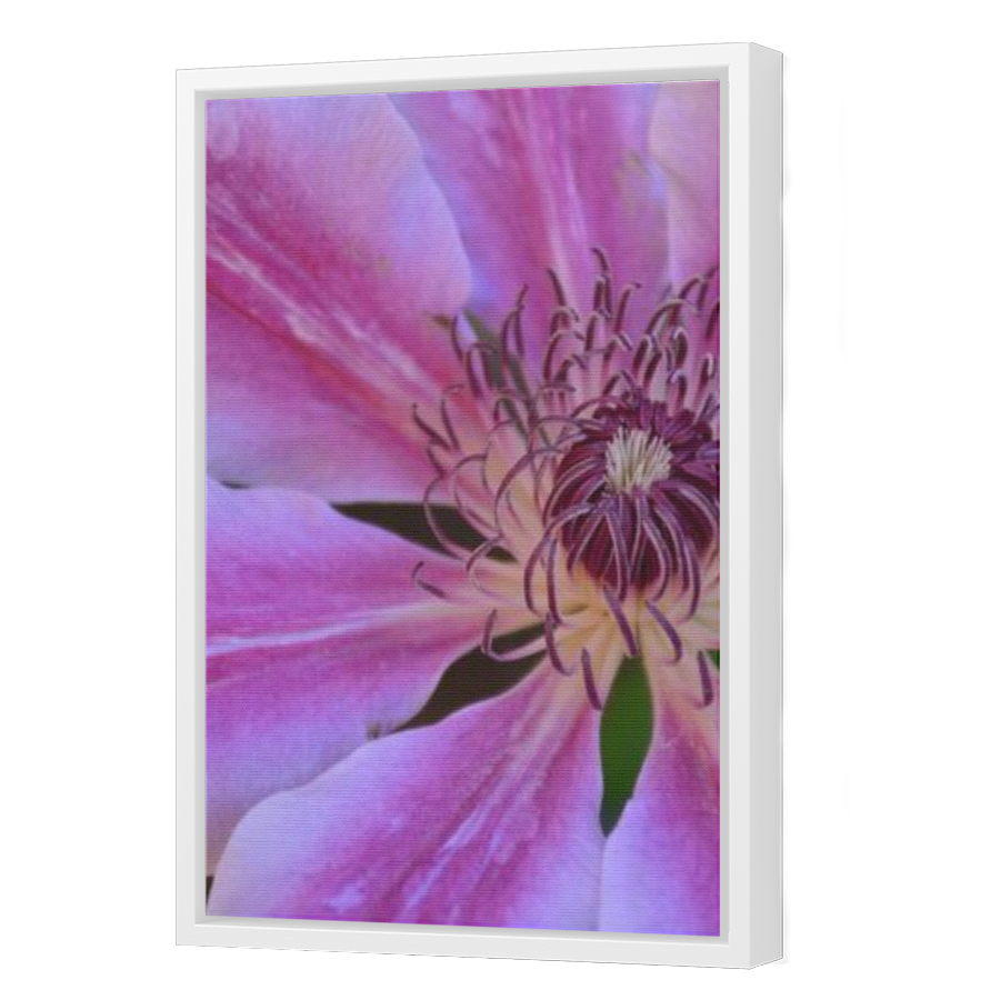 Thumbnail for Canvas - White Floating Frame