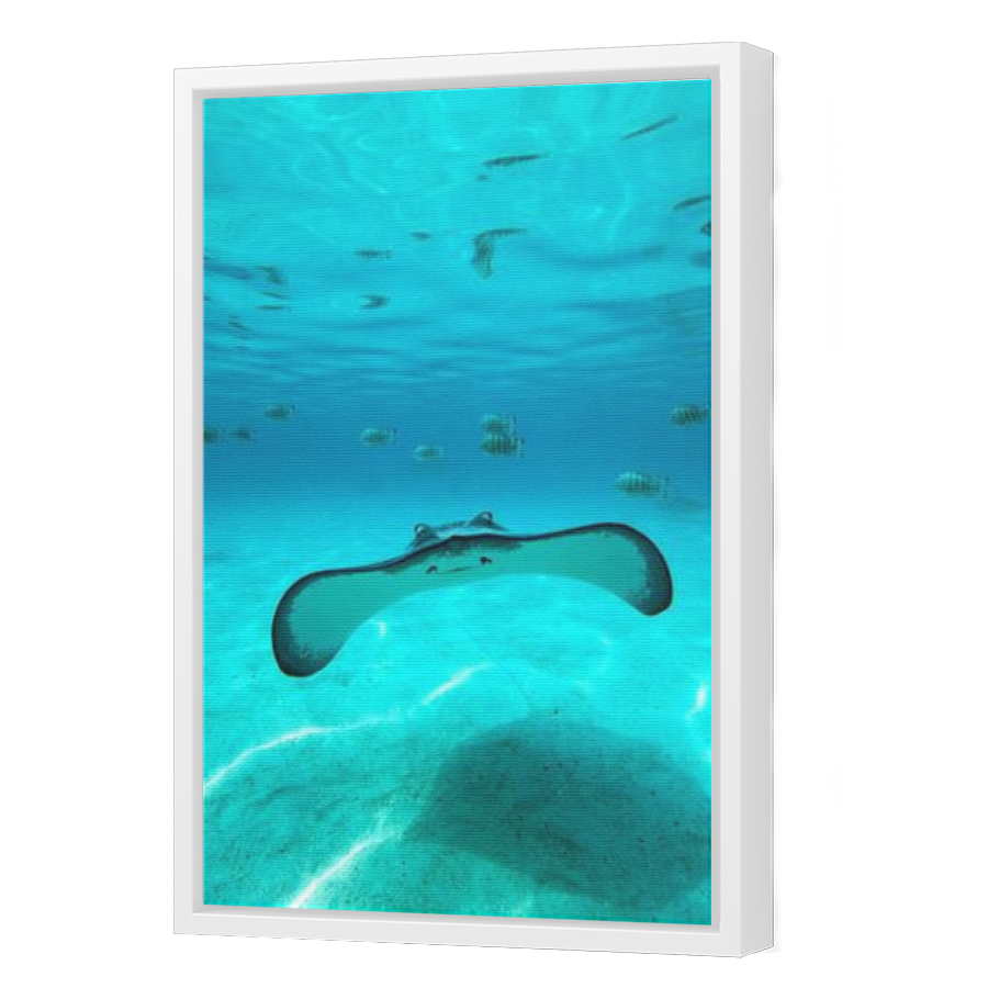 Thumbnail for Canvas - White Floating Frame