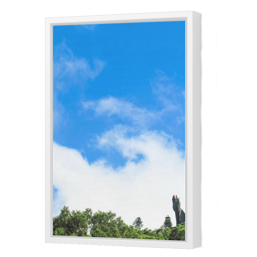 Thumbnail for Canvas - White Floating Frame