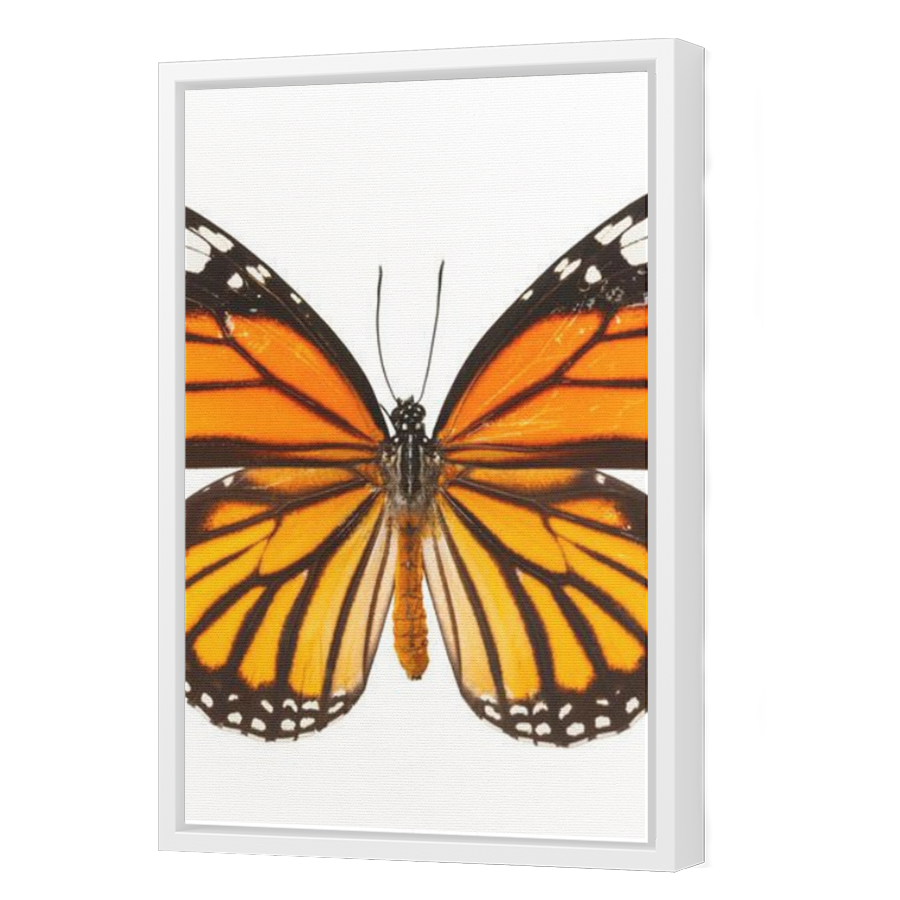 Thumbnail for Canvas - White Floating Frame