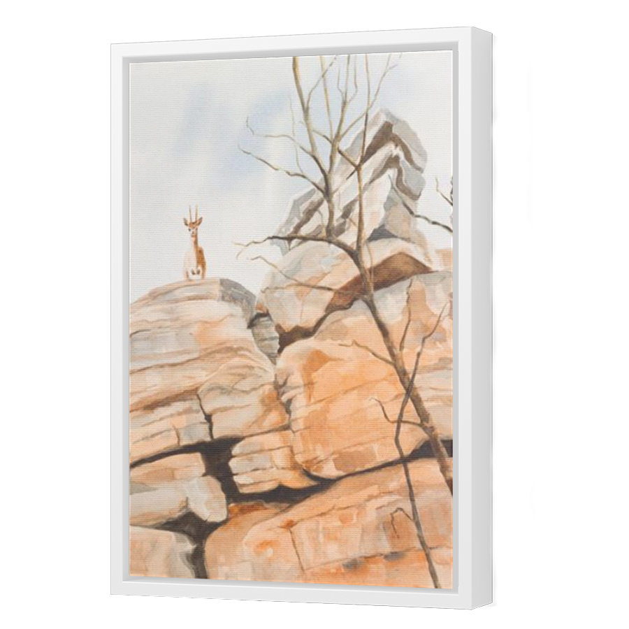 Thumbnail for Canvas - White Floating Frame