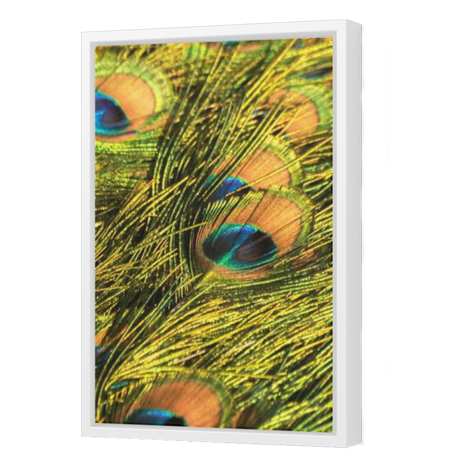 Thumbnail for Canvas - White Floating Frame