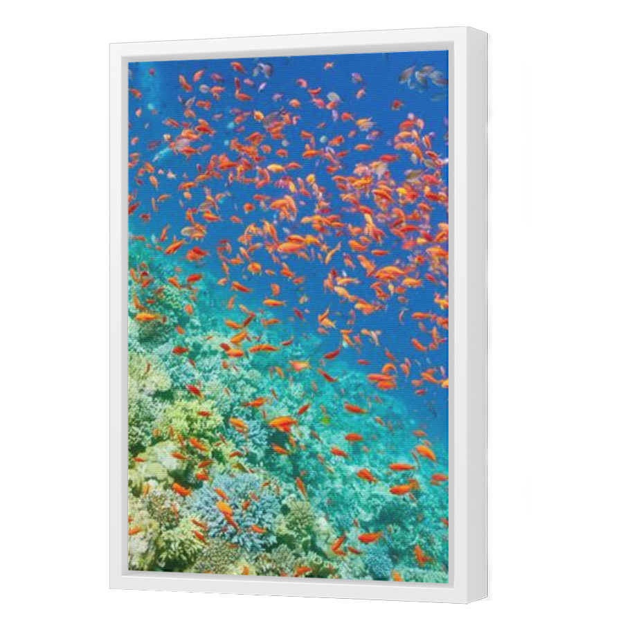Thumbnail for Canvas - White Floating Frame