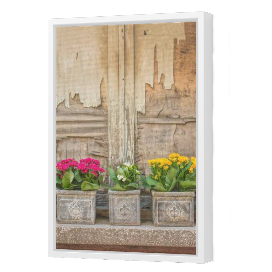 Thumbnail for Canvas - White Floating Frame