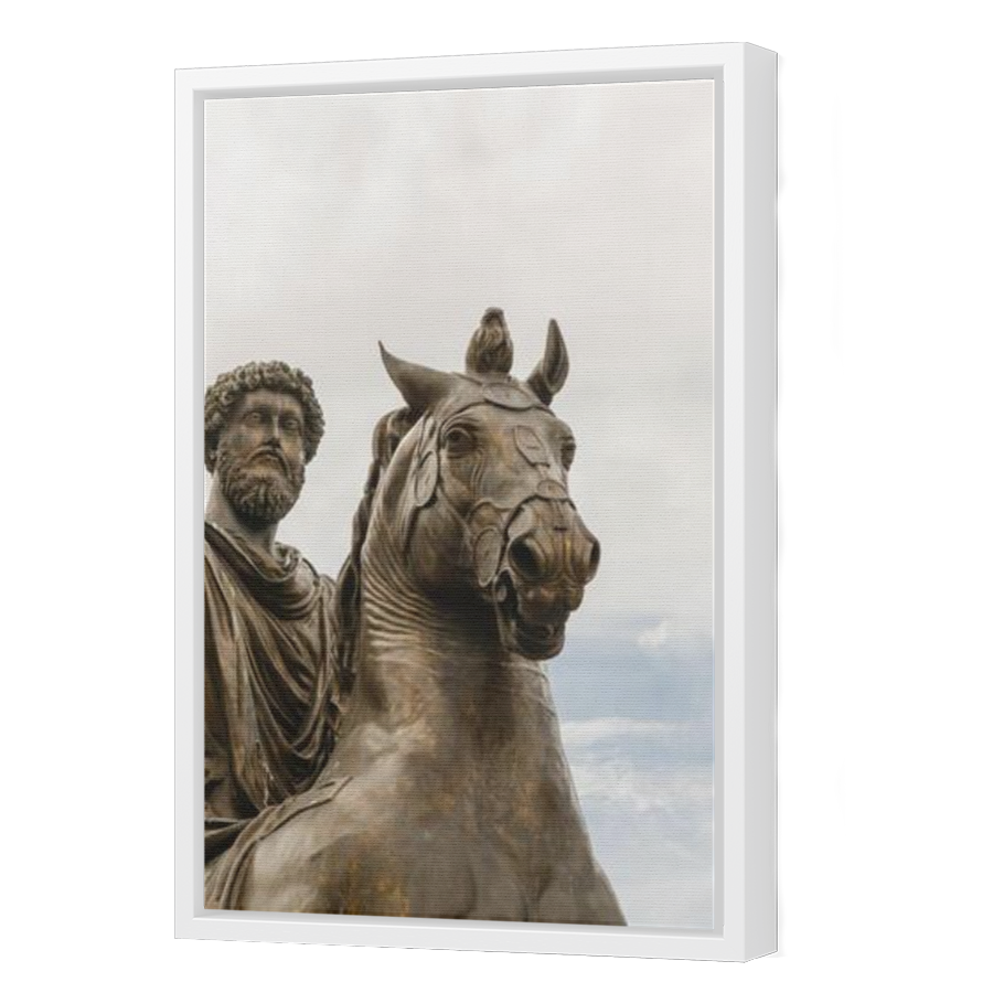 Thumbnail for Canvas - White Floating Frame