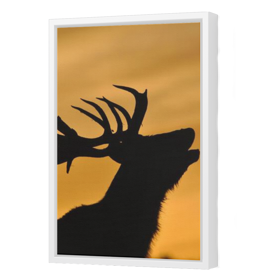 Thumbnail for Canvas - White Floating Frame