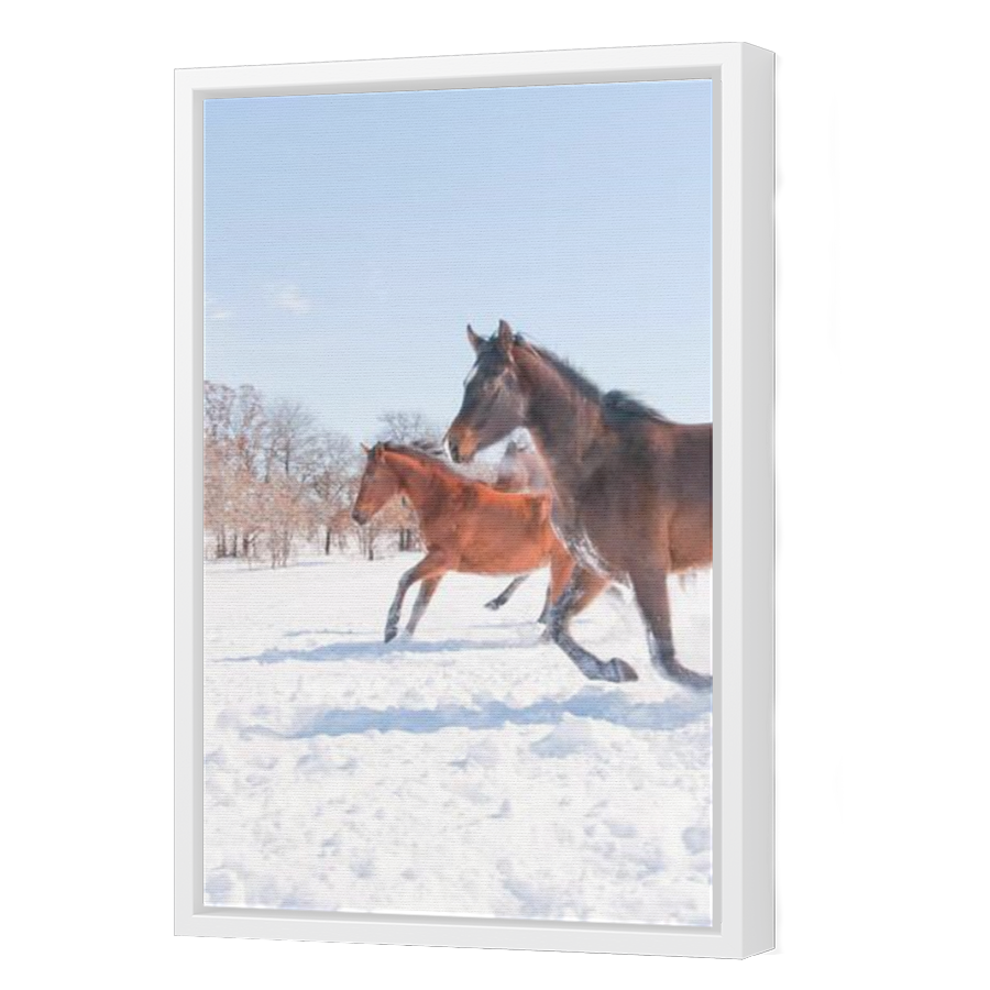 Thumbnail for Canvas - White Floating Frame