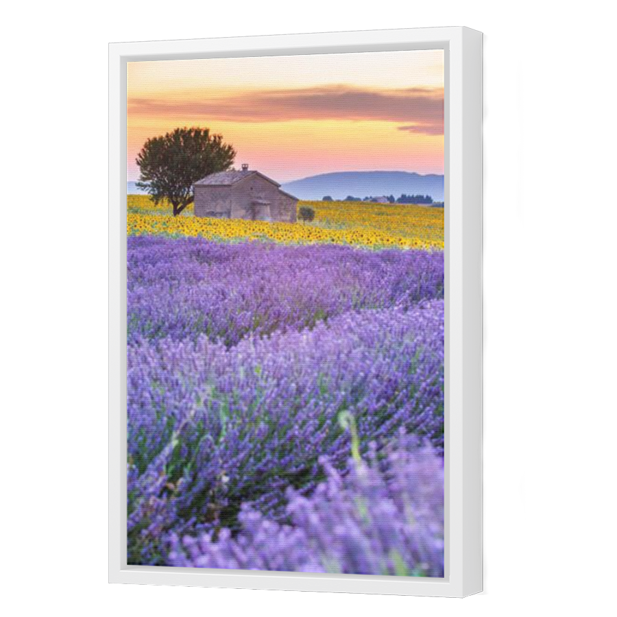 Thumbnail for Canvas - White Floating Frame