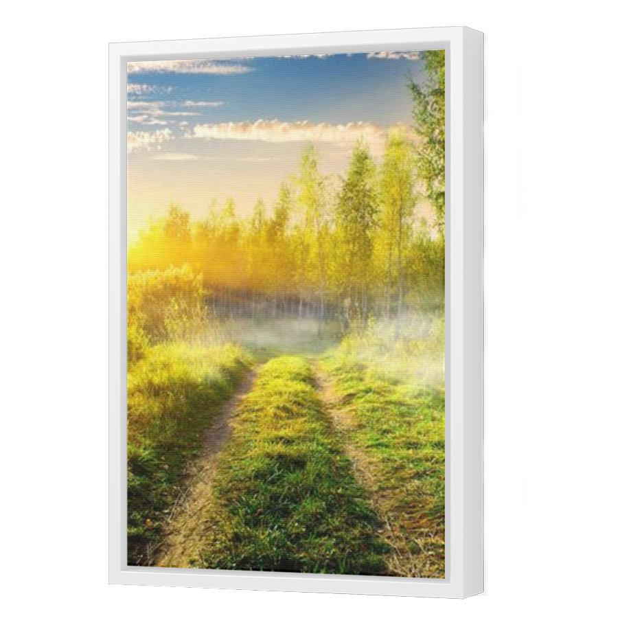 Thumbnail for Canvas - White Floating Frame