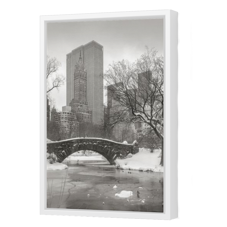 Thumbnail for Canvas - White Floating Frame
