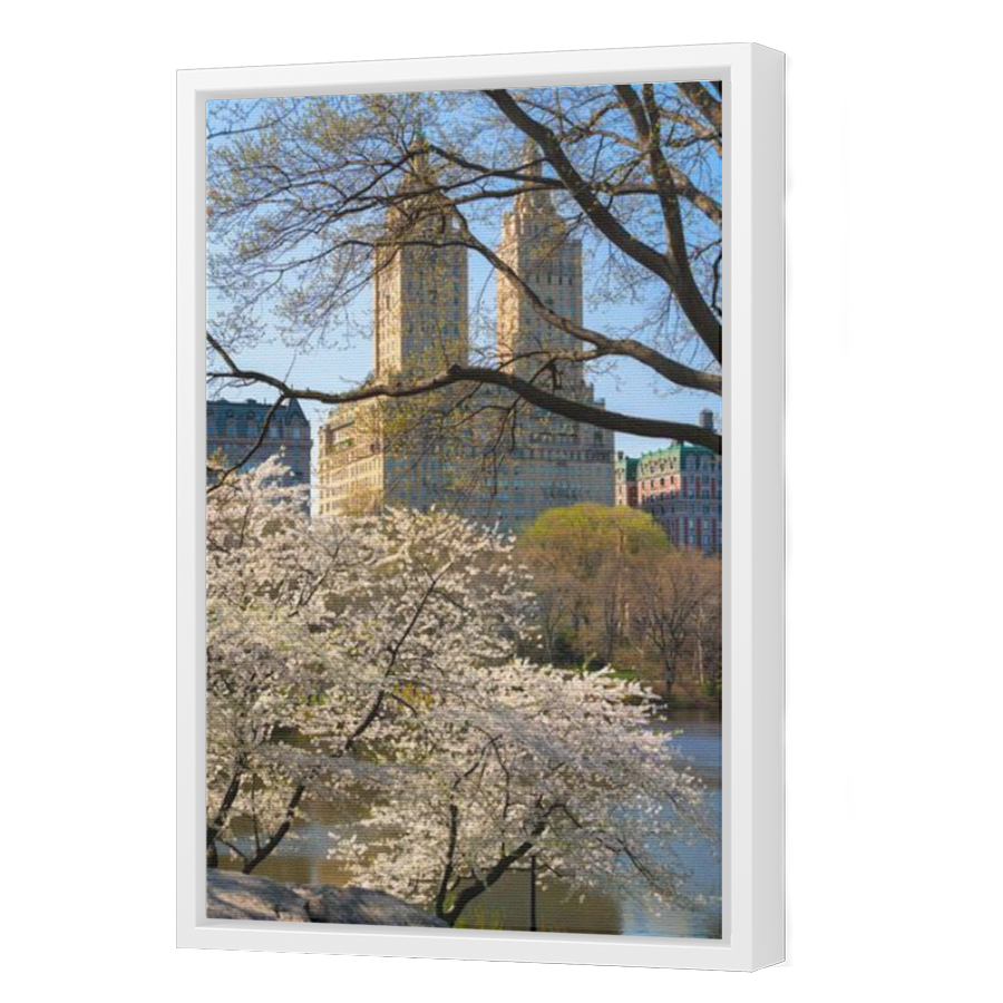 Thumbnail for Canvas - White Floating Frame