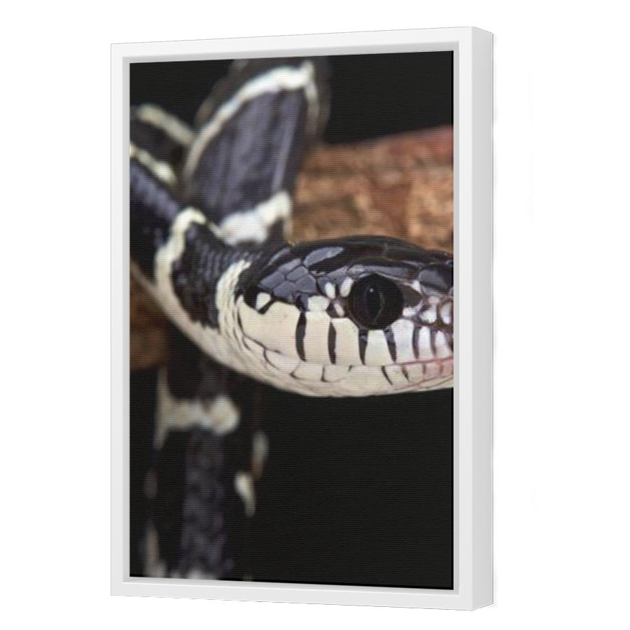 Thumbnail for Canvas - White Floating Frame