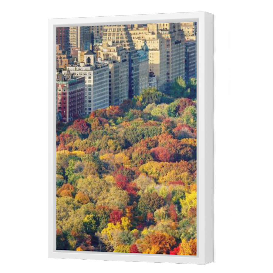 Thumbnail for Canvas - White Floating Frame