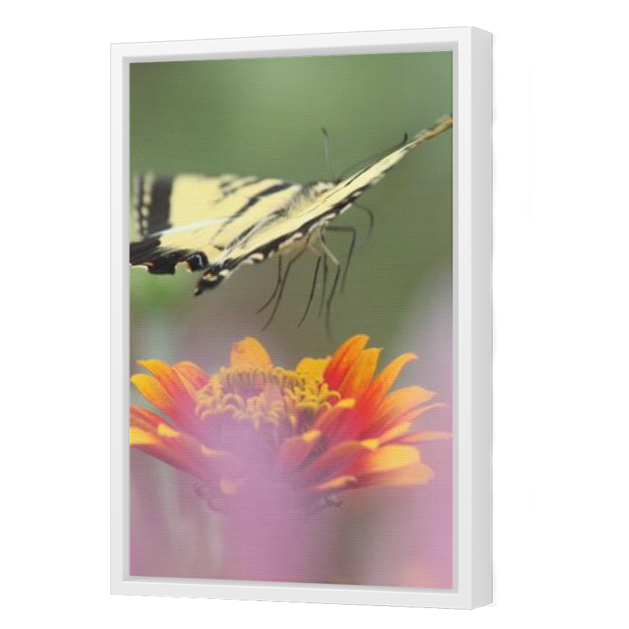 Thumbnail for Canvas - White Floating Frame
