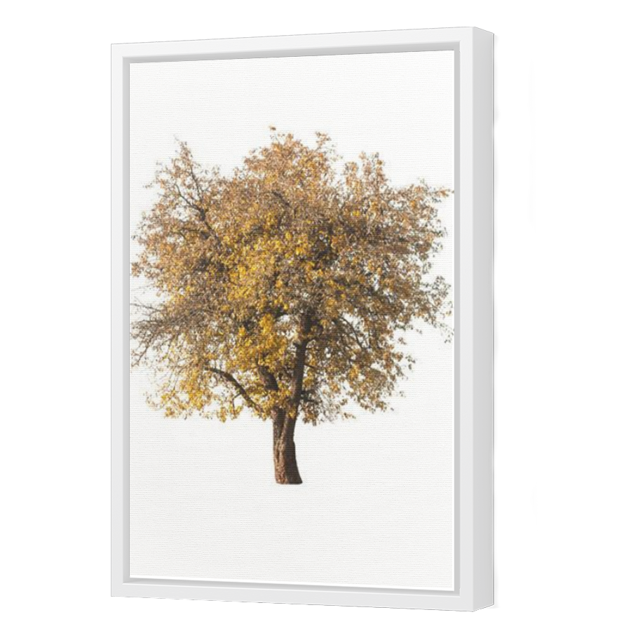 Thumbnail for Canvas - White Floating Frame