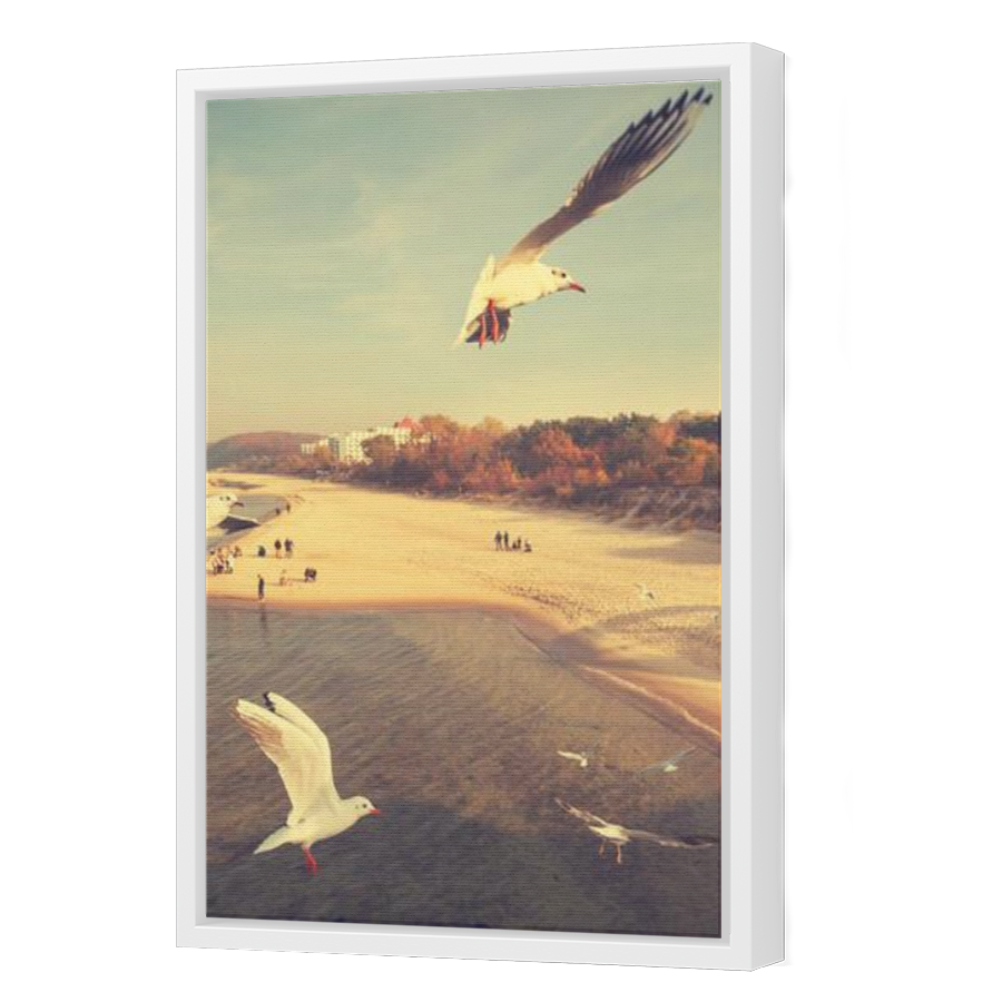 Thumbnail for Canvas - White Floating Frame