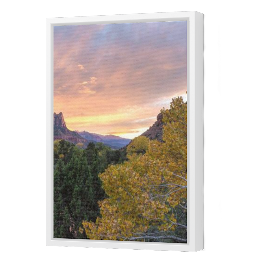 Thumbnail for Canvas - White Floating Frame