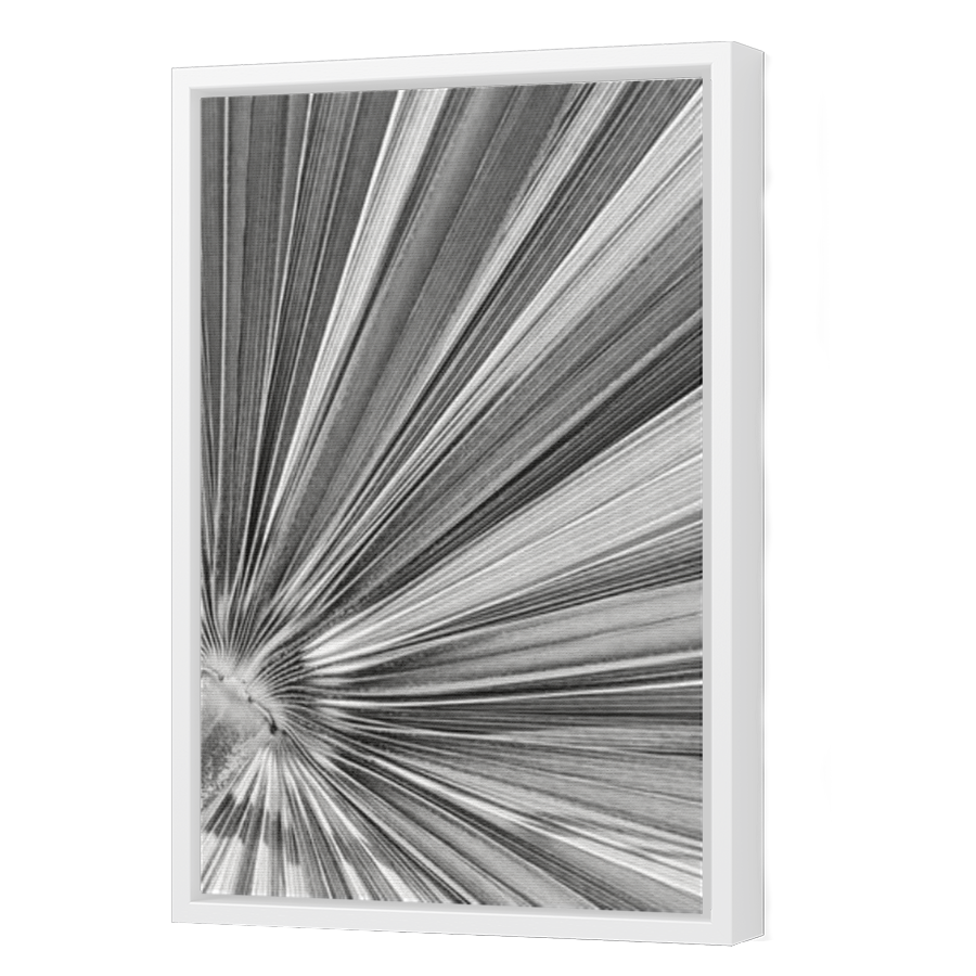 Thumbnail for Canvas - White Floating Frame