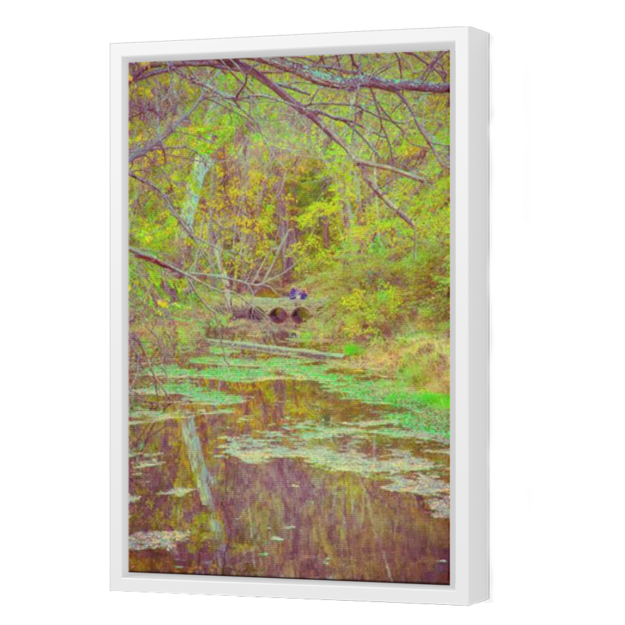 Thumbnail for Canvas - White Floating Frame