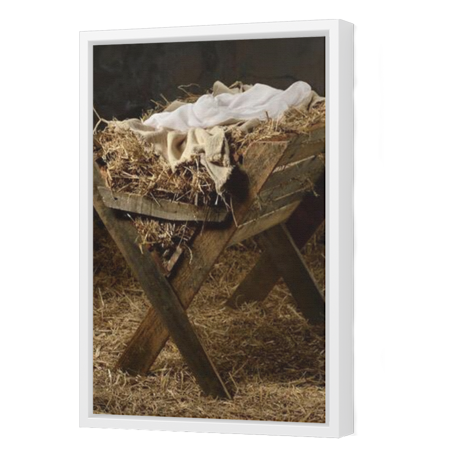 Thumbnail for Canvas - White Floating Frame