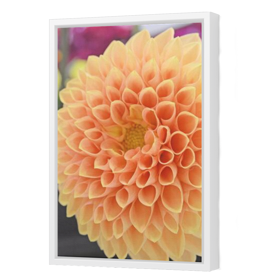Thumbnail for Canvas - White Floating Frame