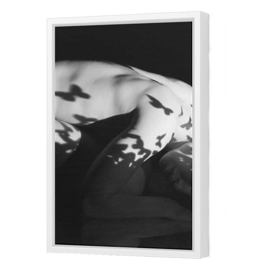 Thumbnail for Canvas - White Floating Frame