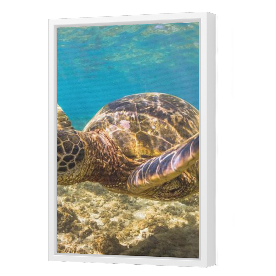 Thumbnail for Canvas - White Floating Frame