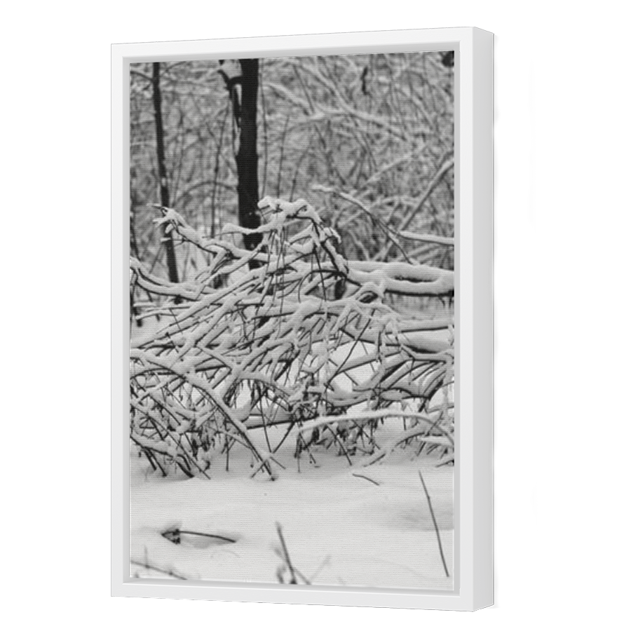 Thumbnail for Canvas - White Floating Frame