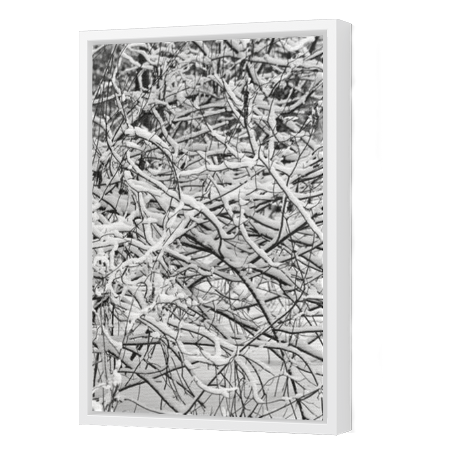Thumbnail for Canvas - White Floating Frame