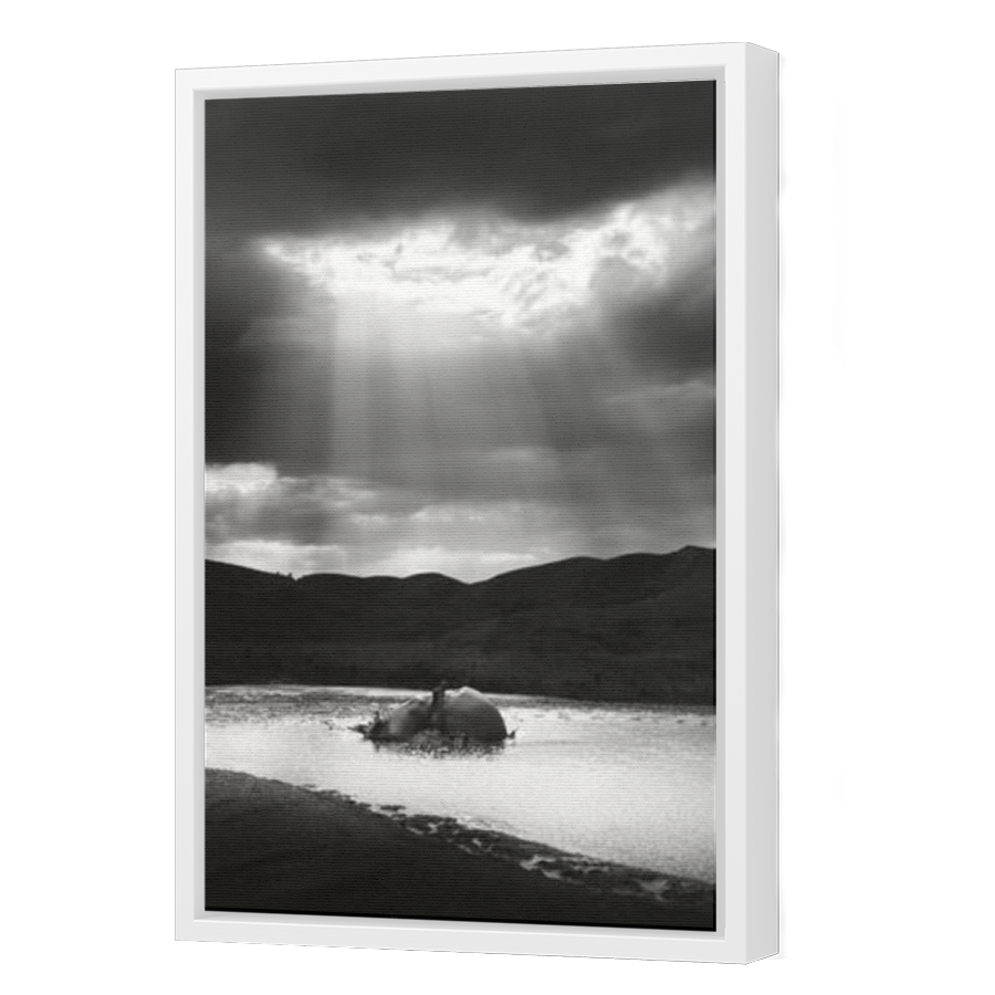 Thumbnail for Canvas - White Floating Frame