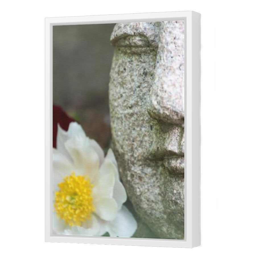 Thumbnail for Canvas - White Floating Frame