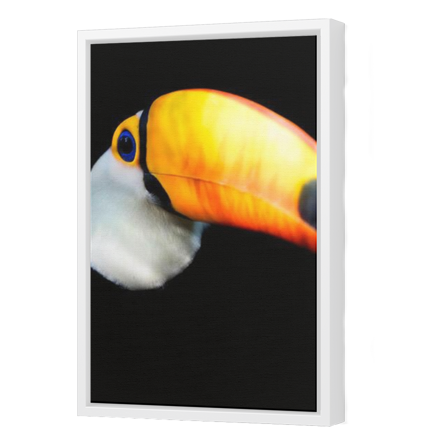 Thumbnail for Canvas - White Floating Frame