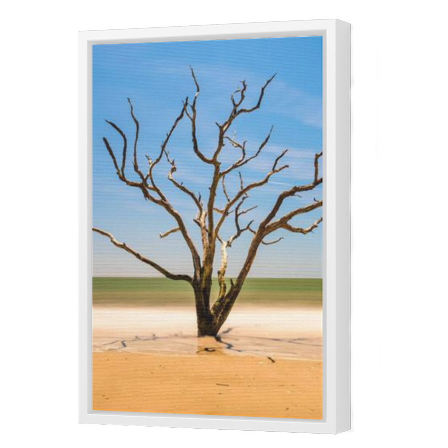 Thumbnail for Canvas - White Floating Frame