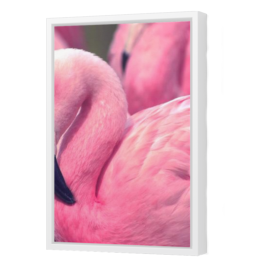 Thumbnail for Canvas - White Floating Frame