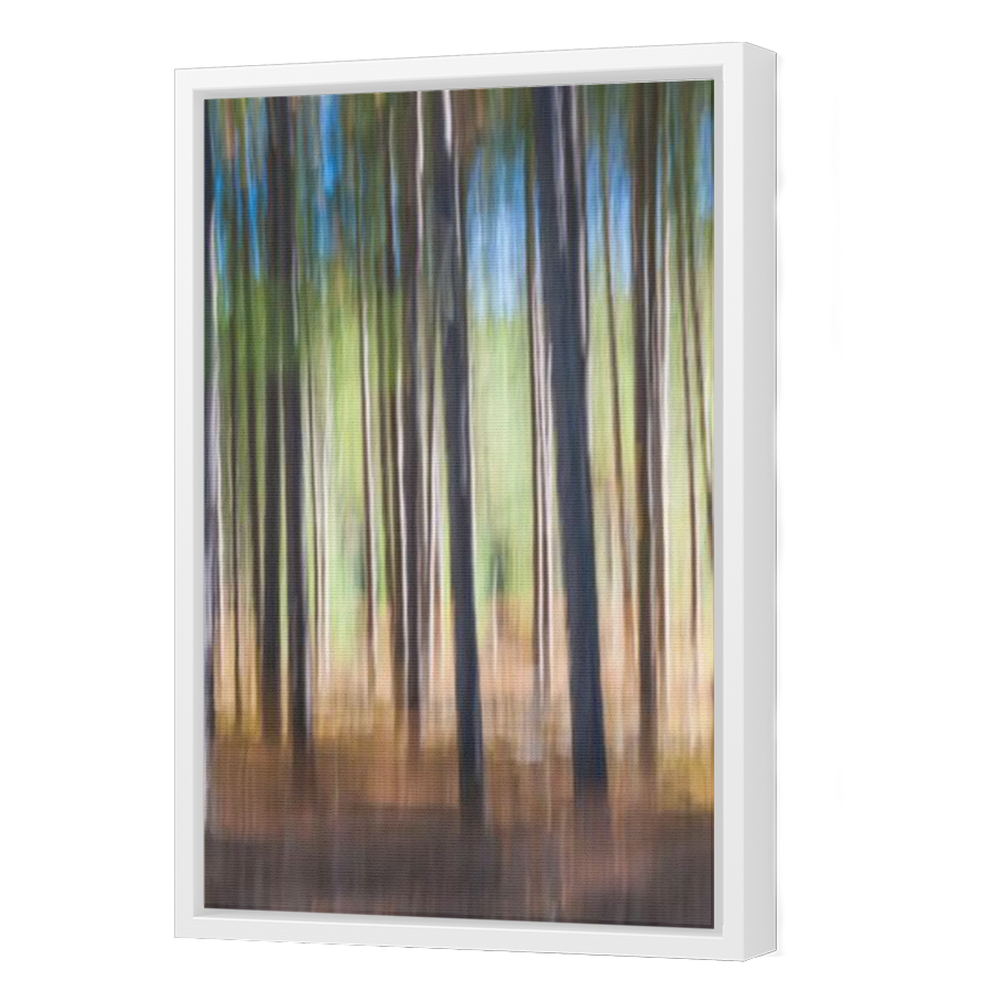 Thumbnail for Canvas - White Floating Frame