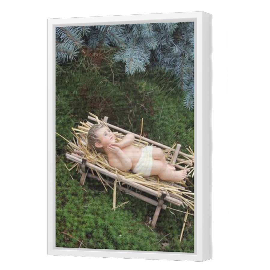 Thumbnail for Canvas - White Floating Frame