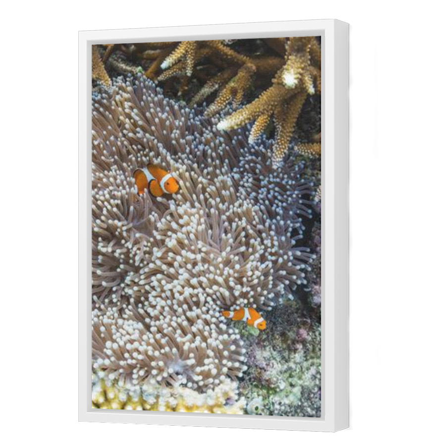 Thumbnail for Canvas - White Floating Frame