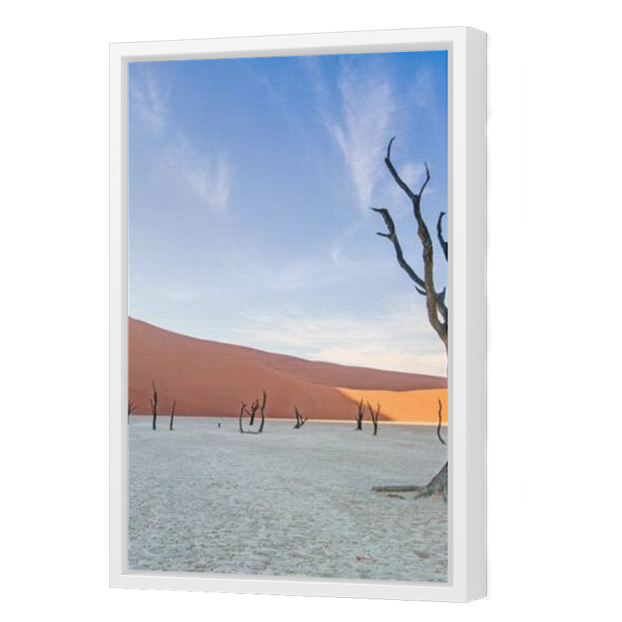 Thumbnail for Canvas - White Floating Frame