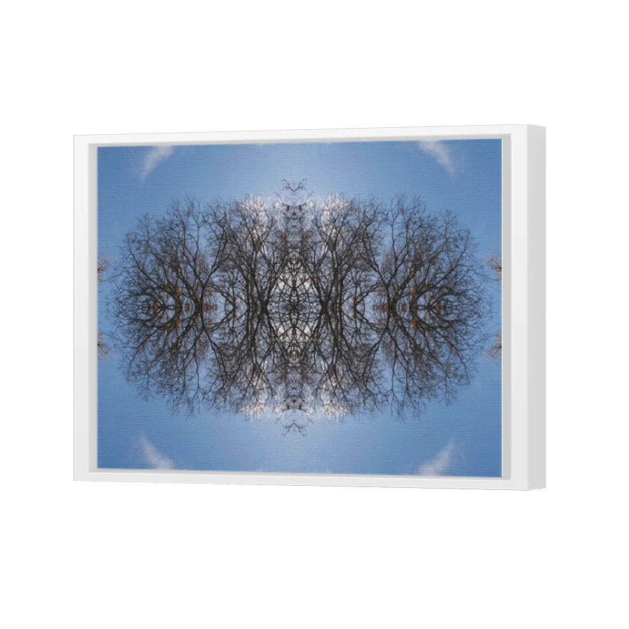 Thumbnail for Canvas - White Floating Frame