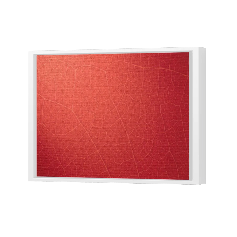 Thumbnail for Canvas - White Floating Frame