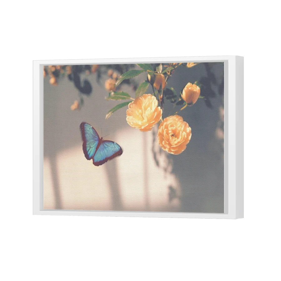 Thumbnail for Canvas - White Floating Frame