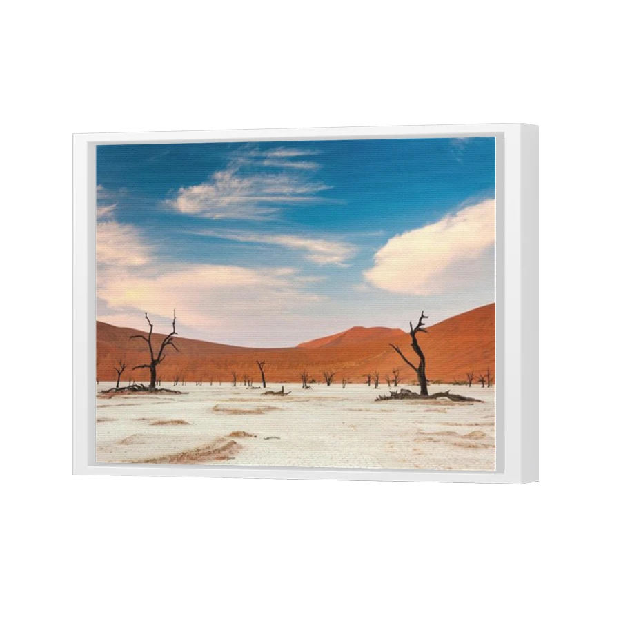 Thumbnail for Canvas - White Floating Frame