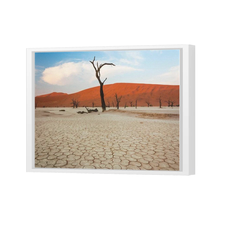 Thumbnail for Canvas - White Floating Frame
