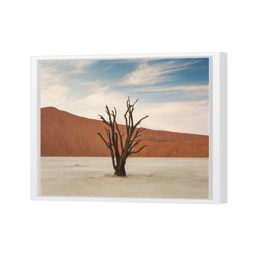 Thumbnail for Canvas - White Floating Frame